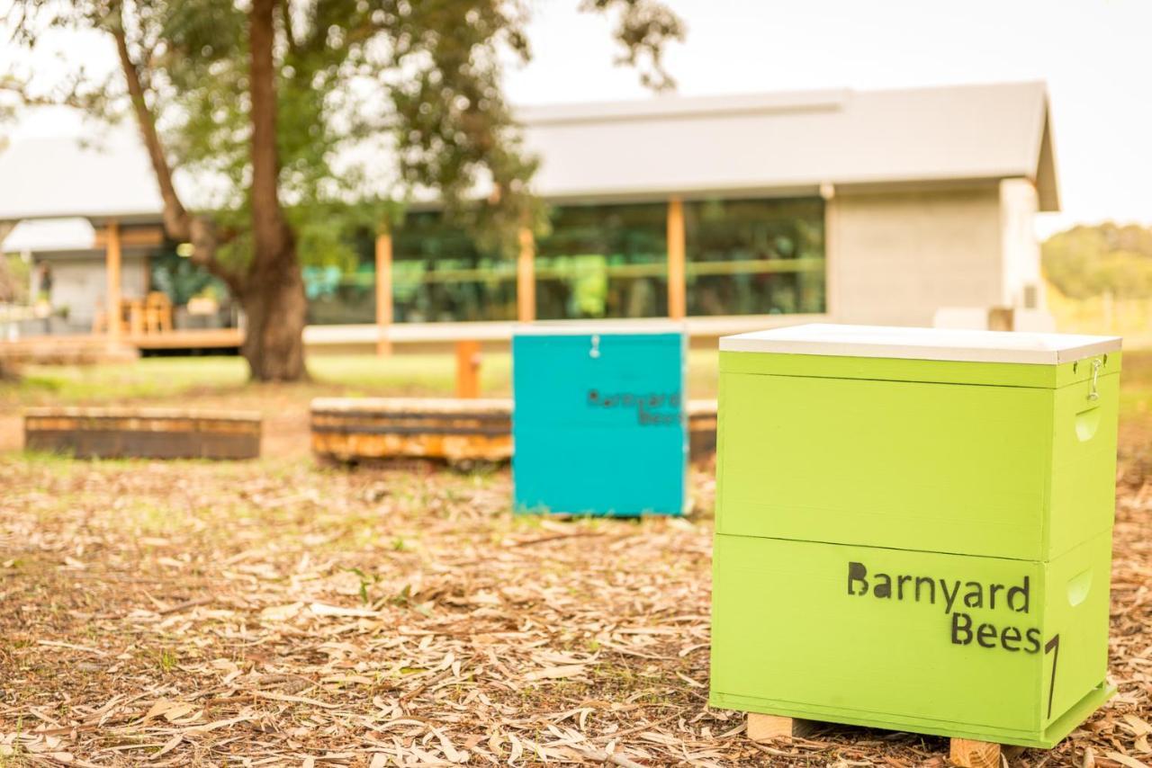 Barn Hives 얄링업 외부 사진