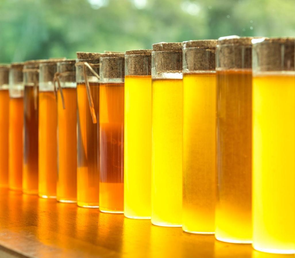 Barn Hives 얄링업 외부 사진
